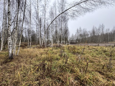Земельный участок, Сергиево-Посадский г.о., Сергиев Посад, Суворицкая улица, #id1913831