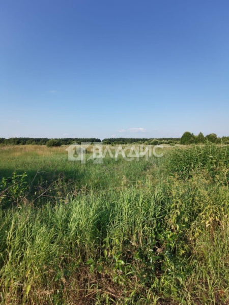 Земельный участок, Можайский муниципальный округ, деревня Камынинка, #id1223192