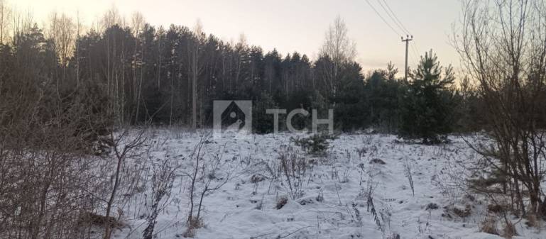 Земельный участок, Богородский г.о., село Бисерово, #id1970106