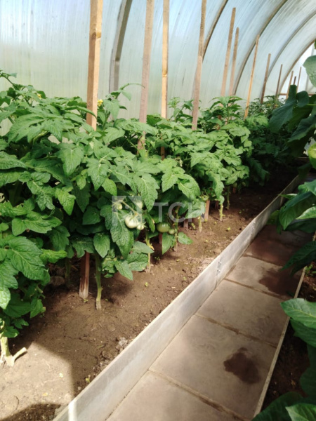 Дом, Владимирская область, Александровский район, деревня Крутец, Луговая улица, 11, #id1241494