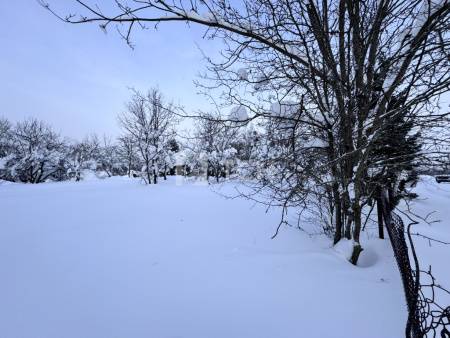 Земельный участок, г.о. Пушкинский, деревня Артёмово, 48, #id2028097