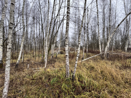 Земельный участок, Сергиево-Посадский г.о., Сергиев Посад, Суворицкая улица, #id1913831