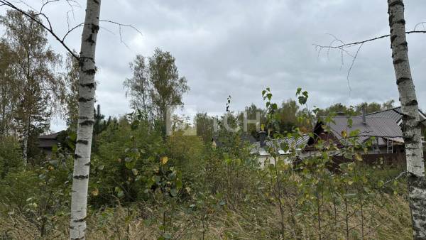 Земельный участок, г.о. Лосино-Петровский, деревня Корпуса, Берёзовая улица, 75, #id1796009