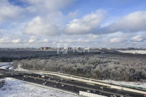 1-комн. квартира, улица Картмазовские Пруды, 2к1, #id1917166