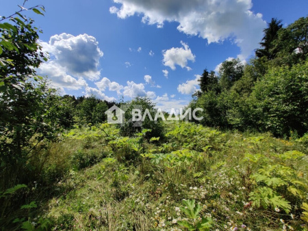 Земельный участок, Можайский г.о., деревня Цыплино, #id1226039