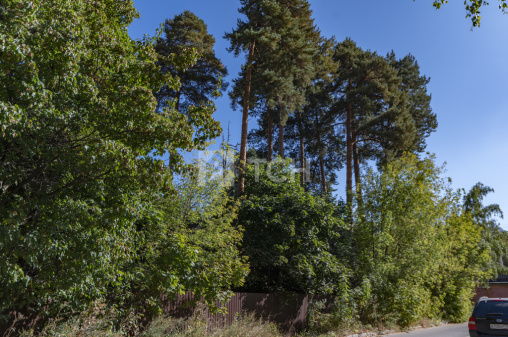 Дом, г.о. Королёв, Королёв, Комитетская улица, #id1159438