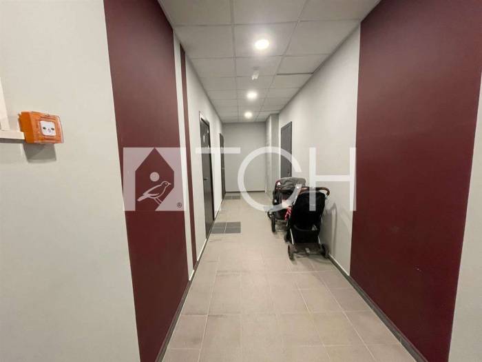Квартира-студия, Королев, ул Пионерская, 13к5 #id276840