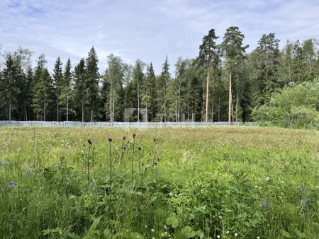 Земельный участок, г.о. Пушкинский, деревня Могильцы, #id1651365