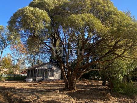 Дом, г.о. Пушкинский, посёлок городского типа Софрино, Садовая улица, 27, #id1853296