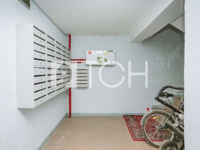 Квартира-студия, Большие Жеребцы, мкр Восточный, 1к3 #id296850
