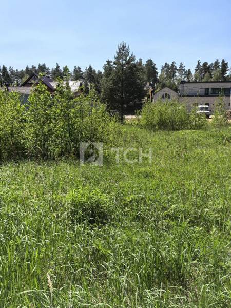 Земельный участок, Богородский г.о., ДНП Приозёрное, #id1796918