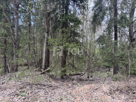 Земельный участок, г.о. Пушкинский, деревня Могильцы, #id1582164