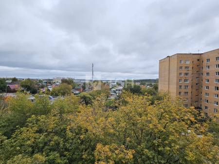 2-комн. квартира, Пушкино, Пушкинское шоссе, 8, #id1792538