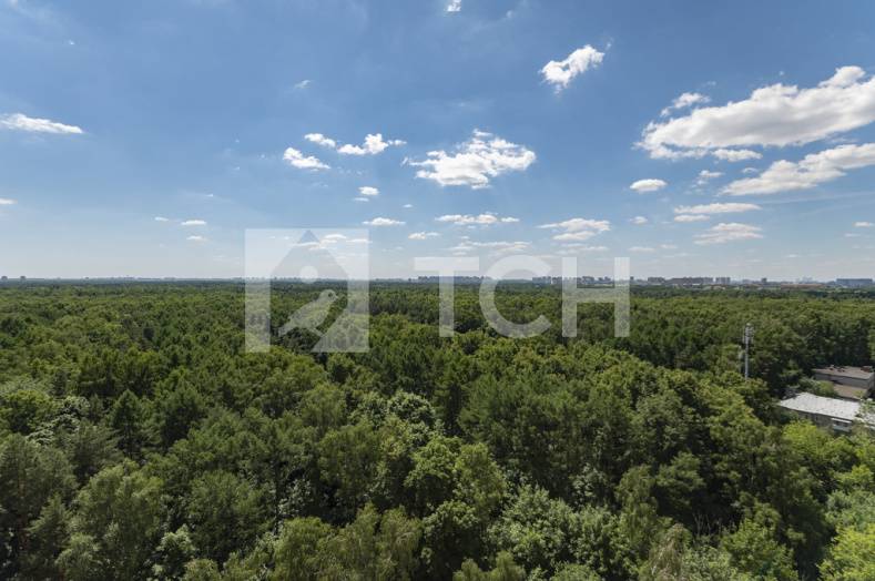 3-комн. Квартира, Балашиха, улица Евстафьева, 3, #id395944