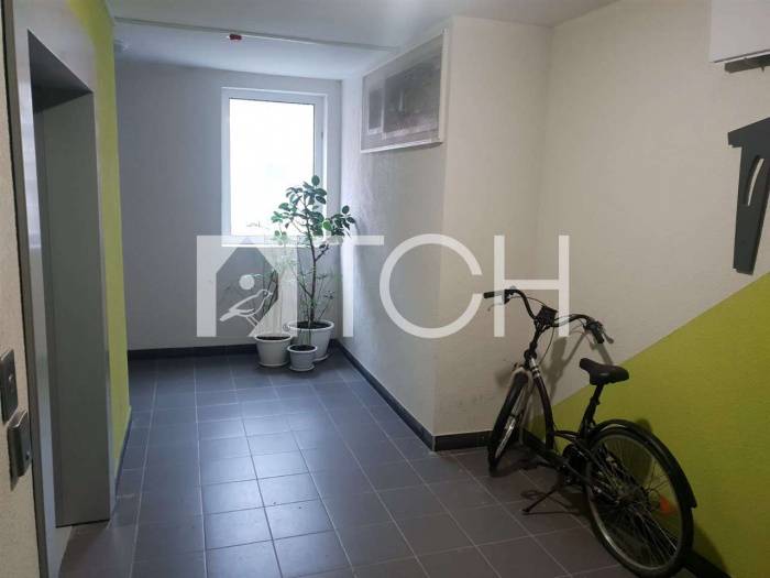 Квартира-студия, Балашиха, ул Яганова, 11 #id292004