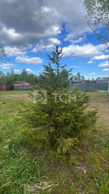 Земельный участок, г.о. Клин, коттеджный посёлок Отрада-парк, Светлая улица, #id1324218