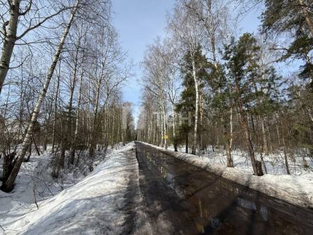 Земельный участок, Богородский г.о., СНТ Роща, #id1985397
