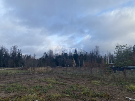 Земельный участок, г.о. Пушкинский, деревня Могильцы, 26, #id1309727