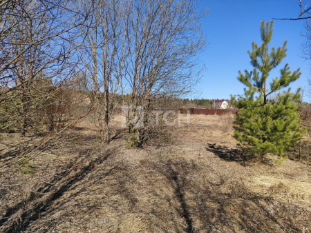 Земельный участок, г.о. Щёлково, деревня Новопареево, 1-я Амеревская улица, #id1328699