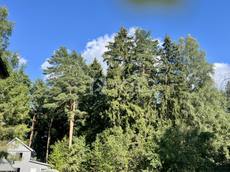 Дом, г.о. Королёв, Королёв, улица Ушакова, 18А, #id1717140