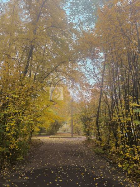 1-комн. квартира, Королёв, улица К.Д. Трофимова, 16, #id1846146