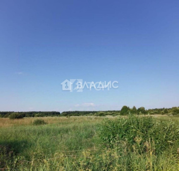 Земельный участок, Можайский г.о., деревня Цыплино, #id1226039