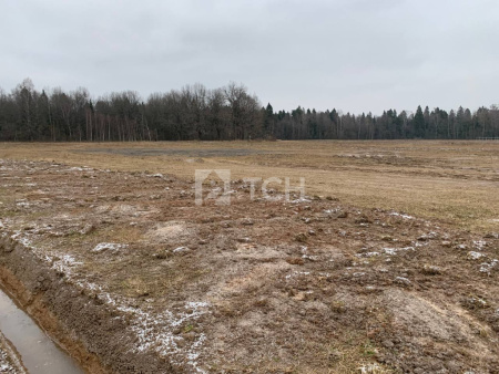 Земельный участок, г.о. Пушкинский, СНТ Черничка, 71, #id1314489