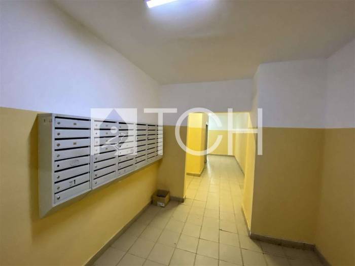 3-комн. квартира, Фрязино, ул Дудкина, 9 #id282129