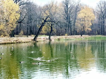 1-комн. квартира, Балашиха, 37, #id1896515