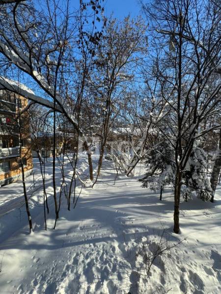 2-комн. квартира, Пушкино, Спортивная улица, 1, #id2024843