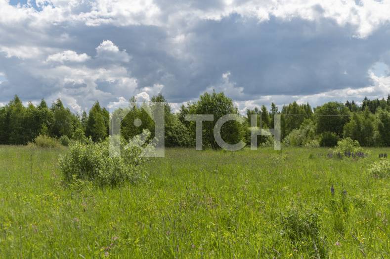 Земельный участок, г.о. Пушкинский, деревня Мартьянково, #id396607