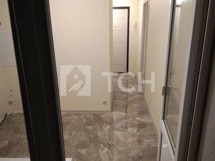 1-комн. Квартира, Пушкино, улица Л. Толстого, 19, #id482322