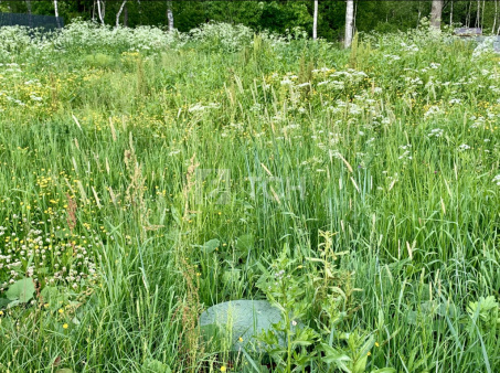 Земельный участок, Дмитровский г.о., коттеджный посёлок Медовое, улица Братьев Политовых, #id1229032