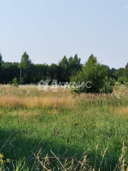 Земельный участок, Можайский г.о., деревня Цыплино, #id1226039