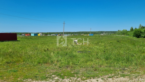 Дом, Тульская область, Заокский район, поселок Шульгинский, Северная улица, 12, #id559675