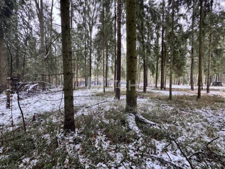 Земельный участок, г.о. Пушкинский, деревня Могильцы, #id1982786