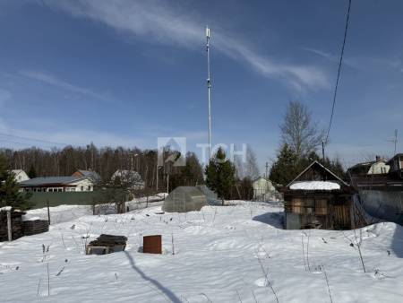 Земельный участок, Богородский г.о., СНТ Роща, #id1985397
