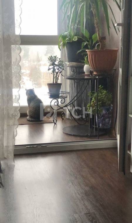 2-комн. квартира, Ивантеевка, Заводская улица, 12, #id1876755