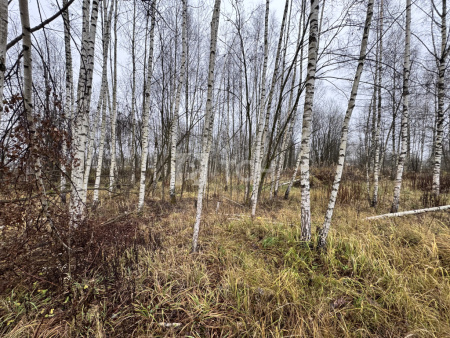 Земельный участок, Сергиево-Посадский г.о., Сергиев Посад, Суворицкая улица, #id1913831