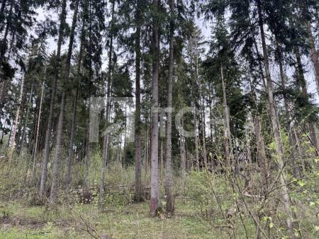 Земельный участок, г.о. Пушкинский, коттеджный посёлок Пушкинский Лес, #id1577385