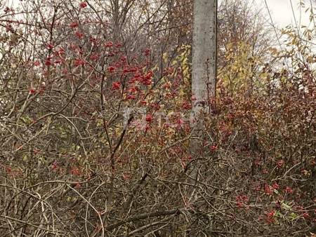 Земельный участок, г.о. Пушкинский, посёлок городского типа Софрино, 2-я Южная улица, #id1893653