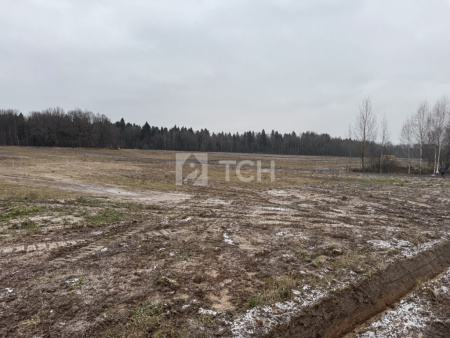 Земельный участок, г.о. Пушкинский, СНТ Черничка, 71, #id1314489