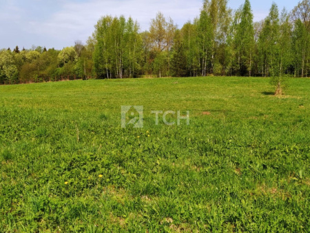 Земельный участок, Владимирская область, Александровский район, деревня Тургенево, #id359750