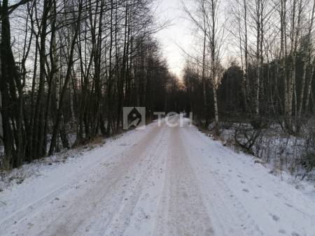 Земельный участок, Богородский г.о., село Бисерово, #id1970106