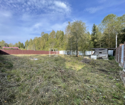 Земельный участок, г.о. Щёлково, деревня Малые Жеребцы, 101, #id1265646