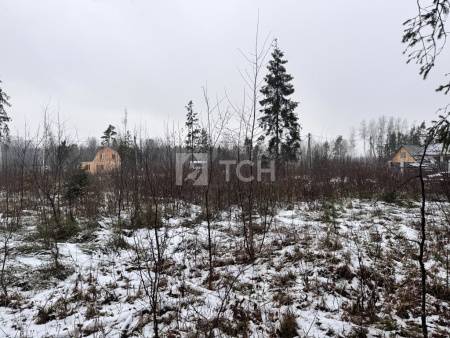Земельный участок, г.о. Пушкинский, деревня Могильцы, #id1982926