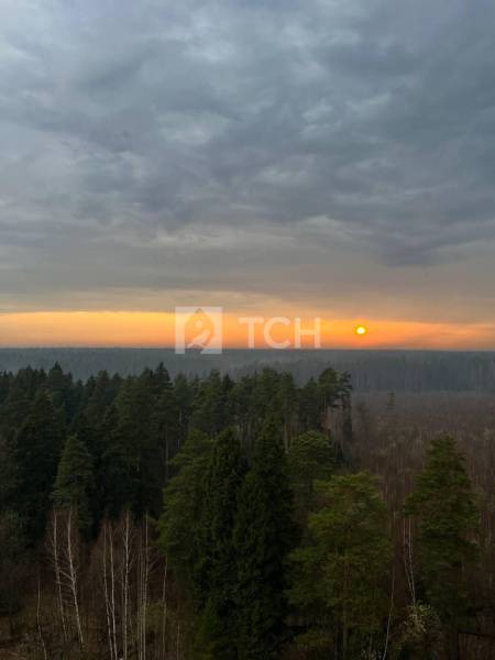 Квартира-студия, Мытищи, улица Стрельбище Динамо, 10, #id1980662