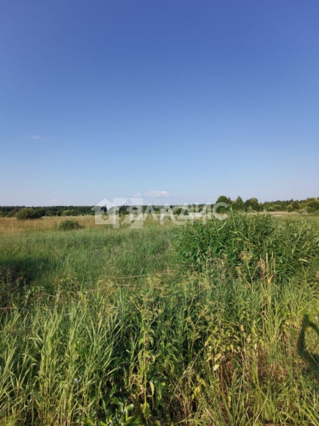 Земельный участок, Можайский г.о., деревня Цыплино, #id1226039