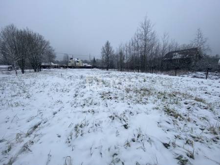 Дом, г.о. Пушкинский, деревня Бортнево, #id1743229