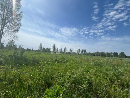 Земельный участок, г.о. Щёлково, деревня Малые Петрищи, #id1293267